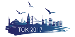 TOK 2017